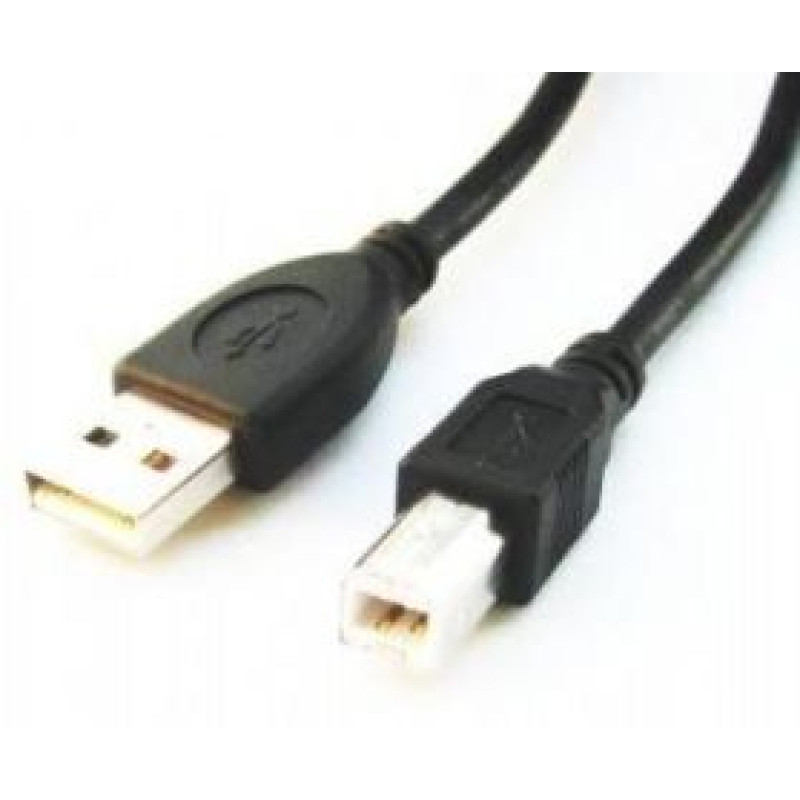 Gembird Kabelis Gembird  CABLE USB2 AM-BM 1.8M/CCP-USB2-AMBM-6