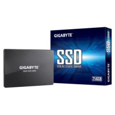 Gigabyte Cietais disks SSD Gigabyte  GP-GSTFS31256GTND 256 GB, SSD interface SATA, Write speed 500 MB/s, Read speed 520 MB/s