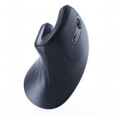 Gembird Datora pele Gembird  MOUSE USB OPTICAL WRL BLACK/ERGONOMIC MUSW-ERGO-03