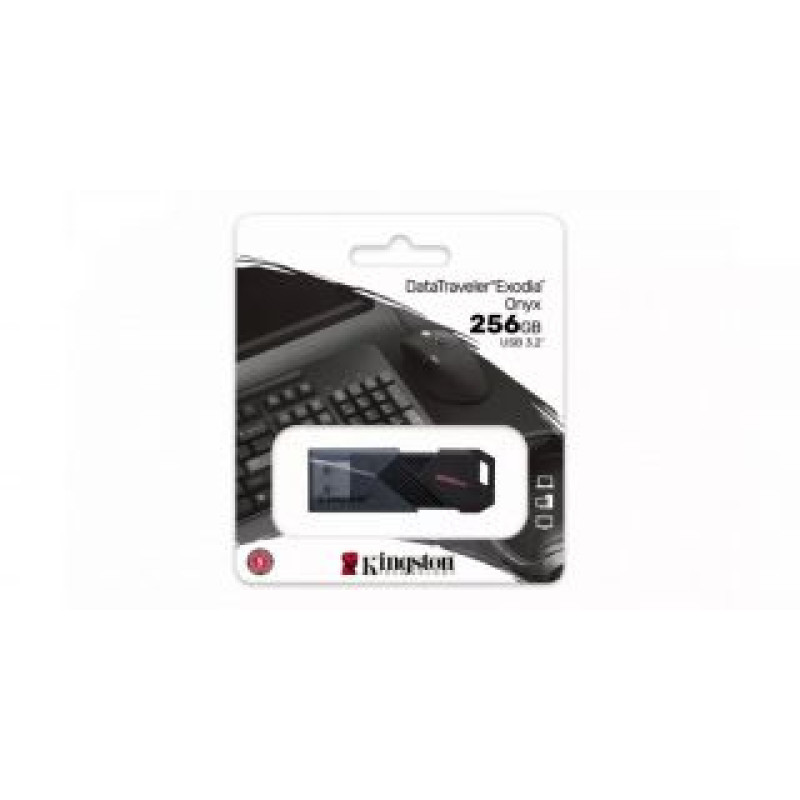 Kingston Zibatmiņa Kingston  MEMORY DRIVE FLASH USB3.2/256GB DTXON/256GB