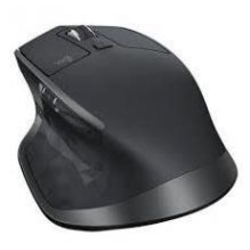 Logitech Datora pele Logitech  MOUSE USB MX MASTER 2S/BLACK 910-007224