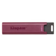 Kingston Zibatmiņa Kingston  MEMORY DRIVE FLASH USB3.2/256GB DTMAXA/256GB