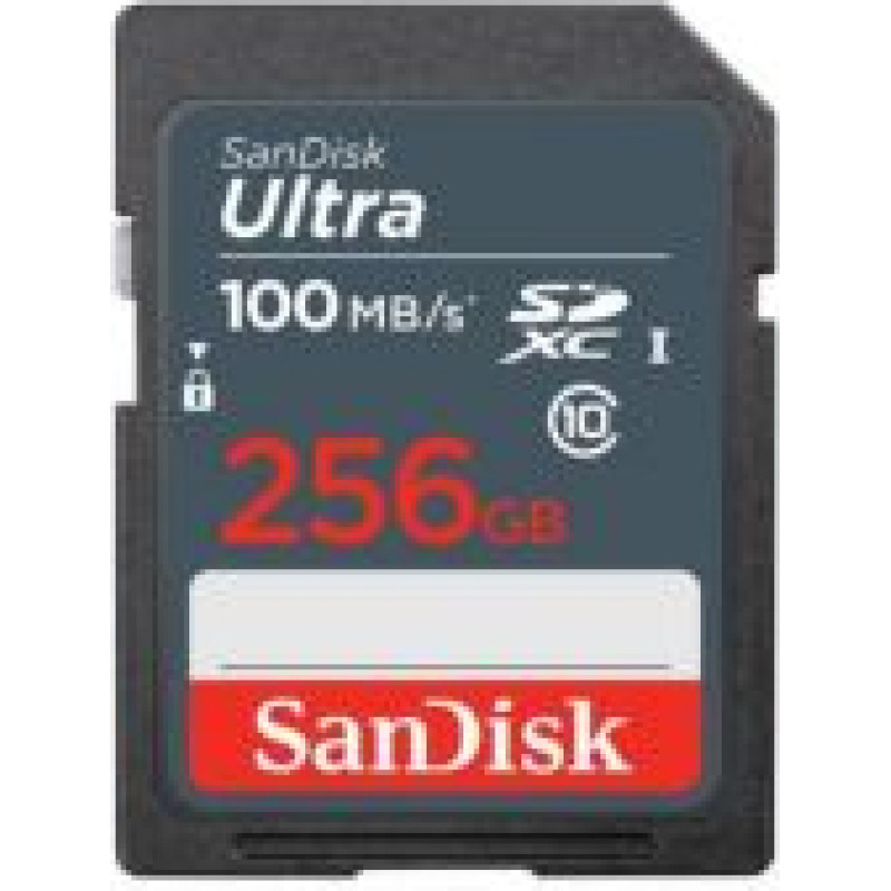 Sandisk By Western Digital Cita datorprece SANDISK BY WESTERN DIGITAL  MEMORY SDXC 256GB UHS-I/SDSDUNR-256G-GN3IN SANDISK