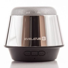 Evelatus Bezvadu skaļrunis Evelatus - Bluetooth Speaker ESP01 Silver